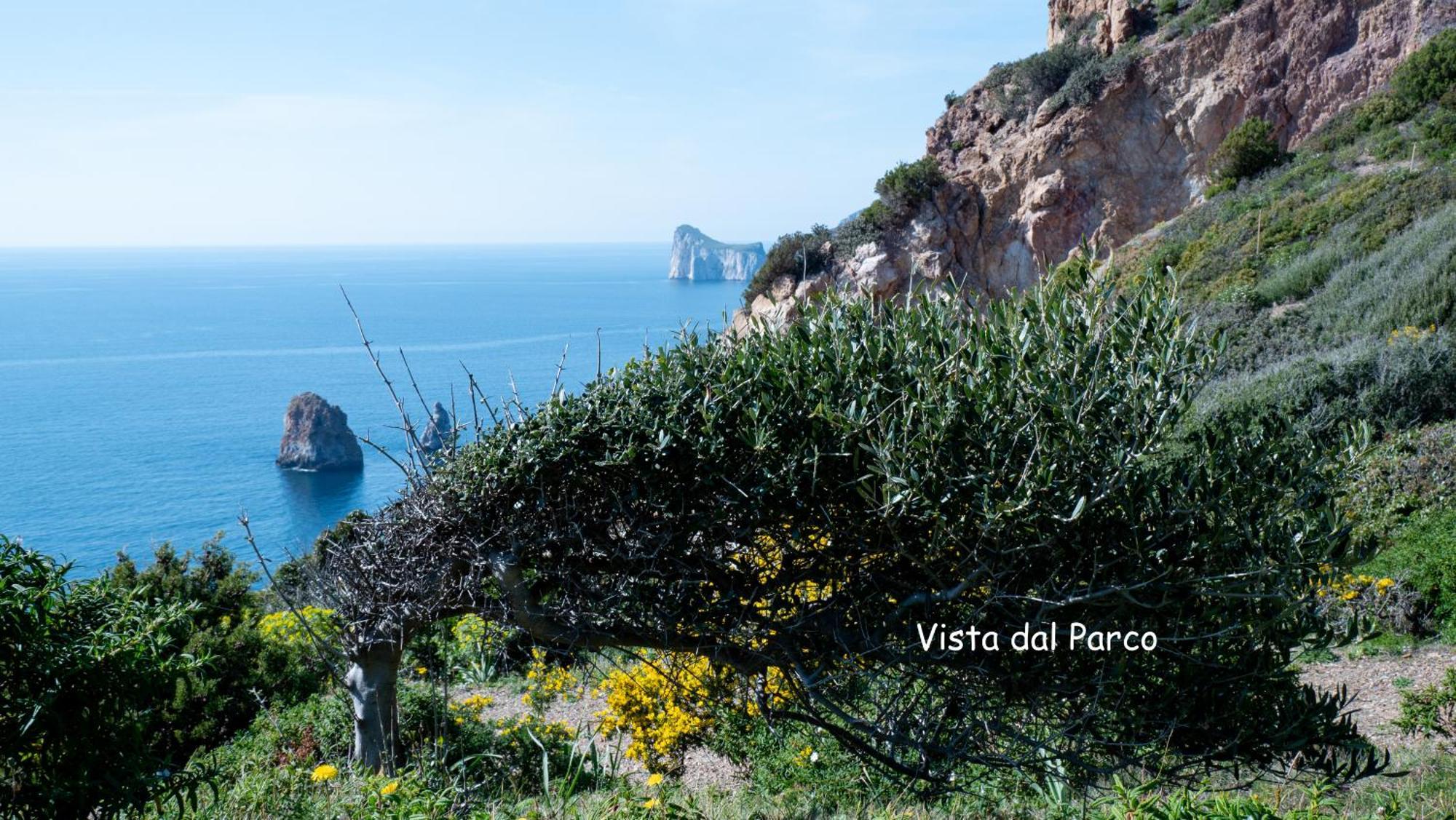 Il Dolce Risveglio Tanca Piras Villa Nebida Dış mekan fotoğraf