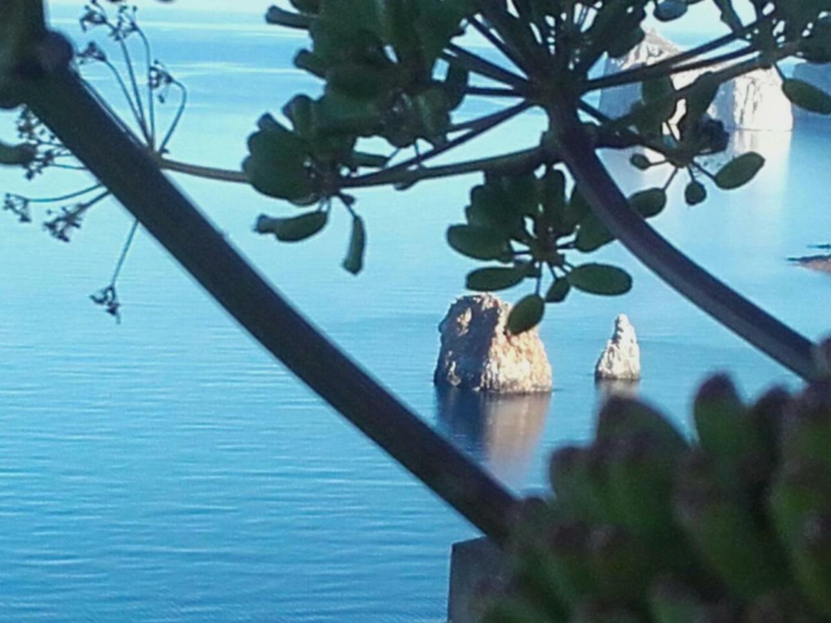 Il Dolce Risveglio Tanca Piras Villa Nebida Dış mekan fotoğraf
